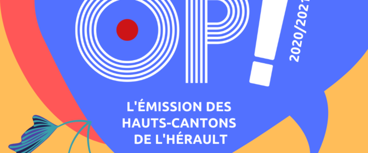 Onda Païs et Polnareff sur Muziktips