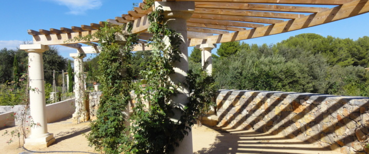 Archéologie et botanique : une richesse disponible pour tous dans la vallée de l’Hérault