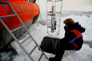 A bord du radeau Tara dans l'Arctique