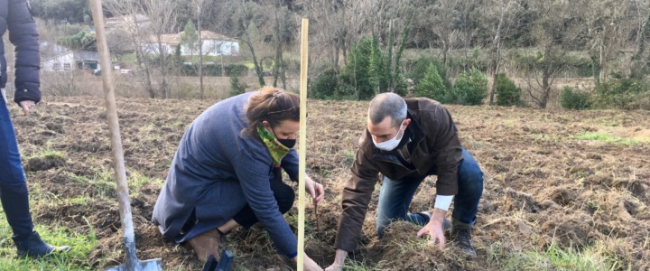 Zoom infos. Un nouveau verger planté à Lodève cette semaine