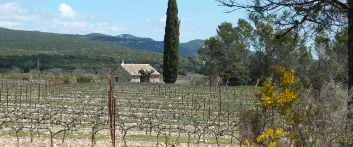 La mesure des impacts environnementaux: la méthode de l’ACV territoriale