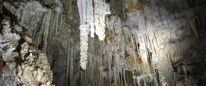 Gorges de l’Hérault. La Grotte de Clamouse reçoit le label « Divertissement durable »