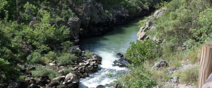 Au fil de l’eau : Forêt en Cœur d’Hérault