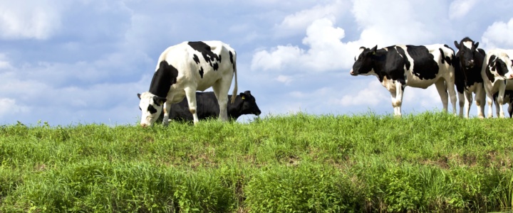 Hérault. Des agriculteurs rémunérés en échange de services écologiques