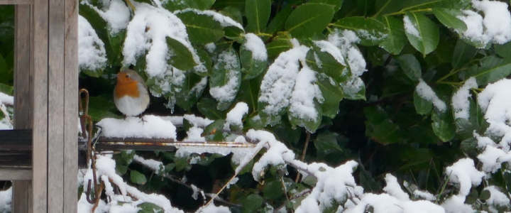 Retraites. Pluie et neige dans l’Hérault au troisième jour de mobilisation