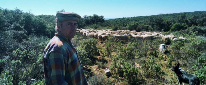 Gigean. Berger, il dénonce l’inaction des élus à préserver le massif de la Gardiole