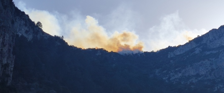 Saint-Guilhem-le-Désert. Un incendie en cours ravage 35 hectares sur la crête de la Vallée du Bout du Monde