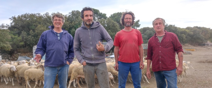 Cœur d’Hérault. Ils fondent un collectif local d’agriculteurs face à la grande consommation