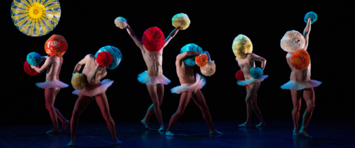 Vivre Ici – Le spectacle Tutu, un univers fantasque de danse, à la Scène de Bayssan