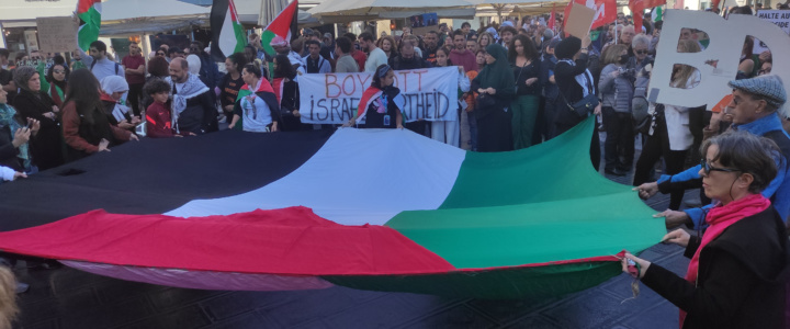 Montpellier. Reportage au cœur de la manifestation de soutien au peuple palestinien