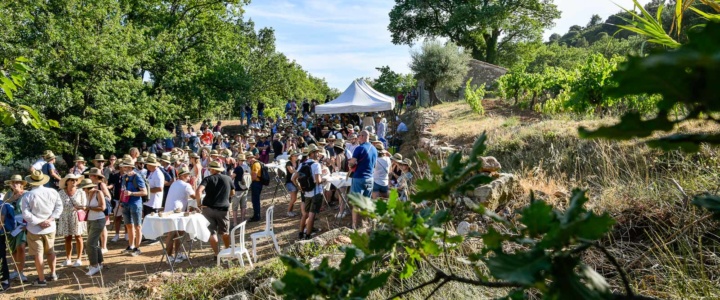 Podcasts Itinérances en Terrasses du Larzac – Sur la route des vins