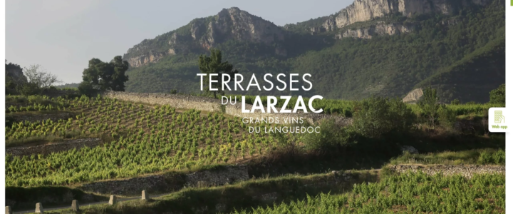 Les 10 ans de l’appellation AOP Terrasses du Larzac, la culture vigneronne et patrimoniale