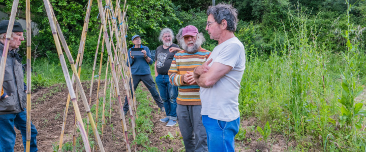 Agenda du jardinier – Septembre