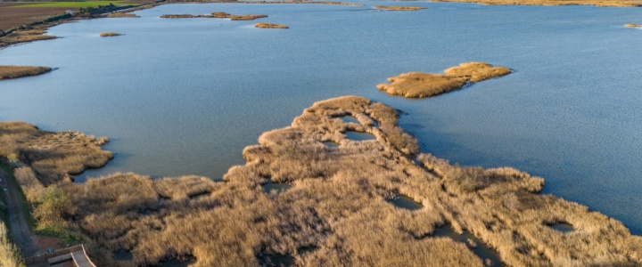 L’Eau A la Bouche – Après la réserve naturelle du Bagnas, l’association CLOPE joue aux Ecolosaures dans l’Oasis Citadine