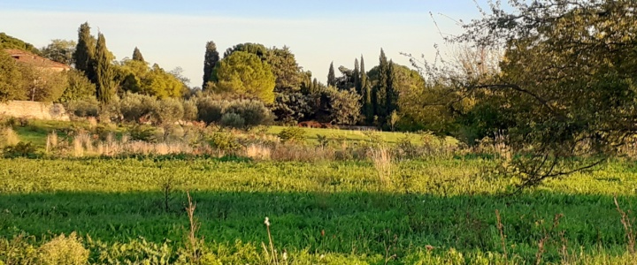 Sous le béton, des sols meurtris…