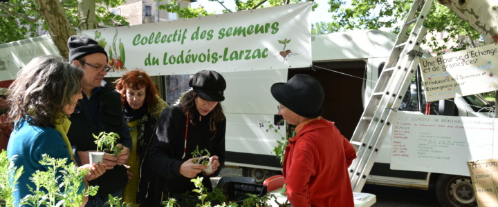 Janvier : Bien préparer l’installation des jeunes plants