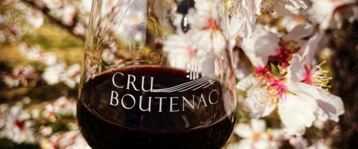 Quel Bon Vin T’ Amène : les 20 ans du Cru Boutenac