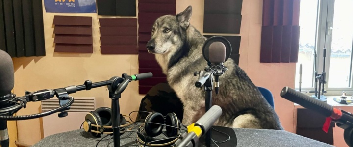 Le loup, notre meilleur ennemi ?